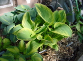 Enlarge photo 26