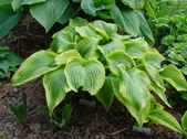Enlarge photo 42