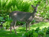 Enlarge photo 40