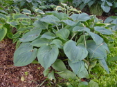 Enlarge photo 109
