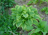 Enlarge photo 28