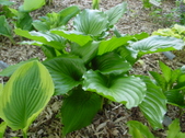 Enlarge photo 47