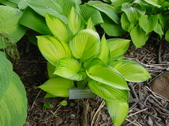Enlarge photo 49