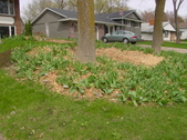 Enlarge photo 27