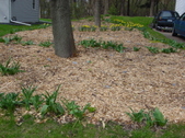 Enlarge photo 29