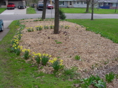 Enlarge photo 31