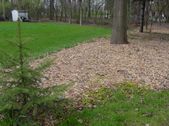 Enlarge photo 32