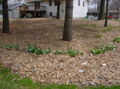Enlarge photo 33