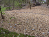 Enlarge photo 34
