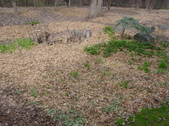 Enlarge photo 36
