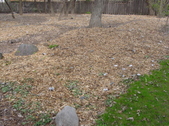 Enlarge photo 37