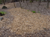 Enlarge photo 38