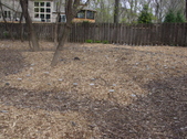 Enlarge photo 39