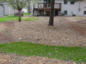 Enlarge photo 40