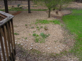 Enlarge photo 41
