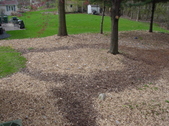 Enlarge photo 43