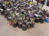 Enlarge photo 44