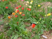 Enlarge photo 46