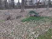 Enlarge photo 13