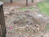 Enlarge photo 17