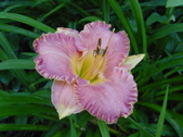 Enlarge photo 42