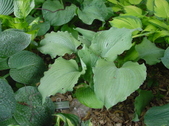 Enlarge photo 17