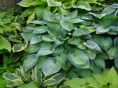Enlarge photo 18