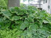 Enlarge photo 23
