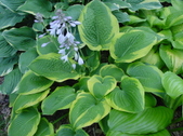 Enlarge photo 28