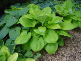 Enlarge photo 36
