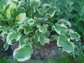 Enlarge photo 37