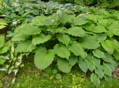 Enlarge photo 49