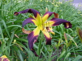 Enlarge photo 67