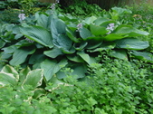 Enlarge photo 51