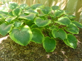 Enlarge photo 82