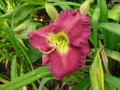 Enlarge photo 103