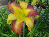 Enlarge photo 108