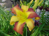 Enlarge photo 109