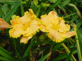 Enlarge photo 119