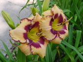 Enlarge photo 123