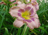 Enlarge photo 126