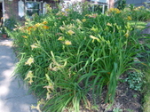 Enlarge photo 144