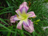 Enlarge photo 166