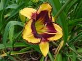 Enlarge photo 169
