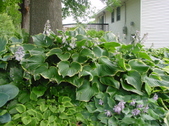 Enlarge photo 156