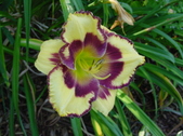Enlarge photo 203