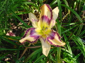 Enlarge photo 207