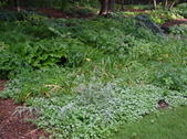 Enlarge photo 235