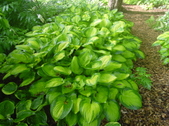 Enlarge photo 220