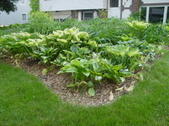 Enlarge photo 27